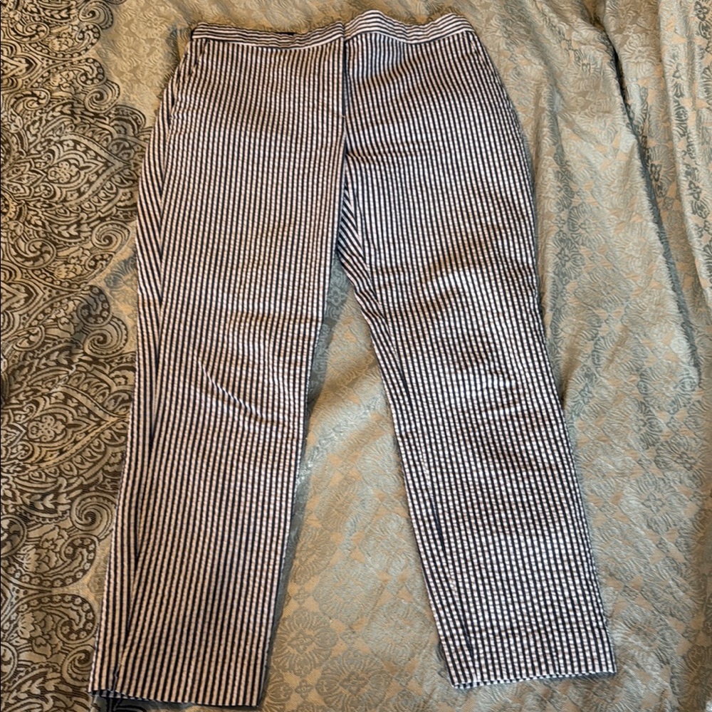 Zara blue and white ankle pants